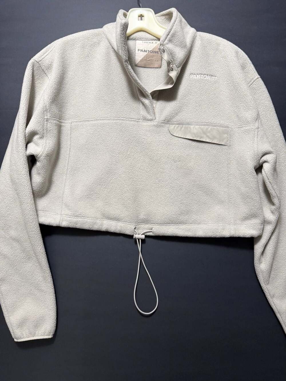 Forever 21 Pantone Fleece Pullover Sweatshirt